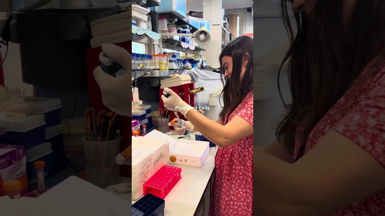 What does cancer research actually look like in labs across the world?