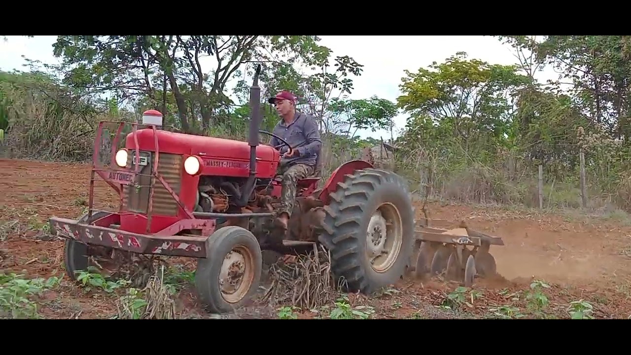 A. Chuva chegou vamos começar  as plantações 
