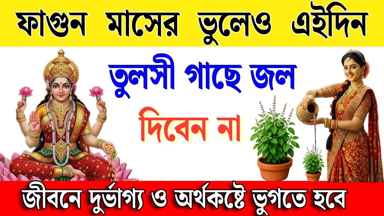 ফাল্গুন মাসের এই দিন ভুলেও তুলসী গাছে জল দেবেন না | শাস্ত্রমতে এই দিনে জল দিলে বড় অমঙ্গল হতে পারে!