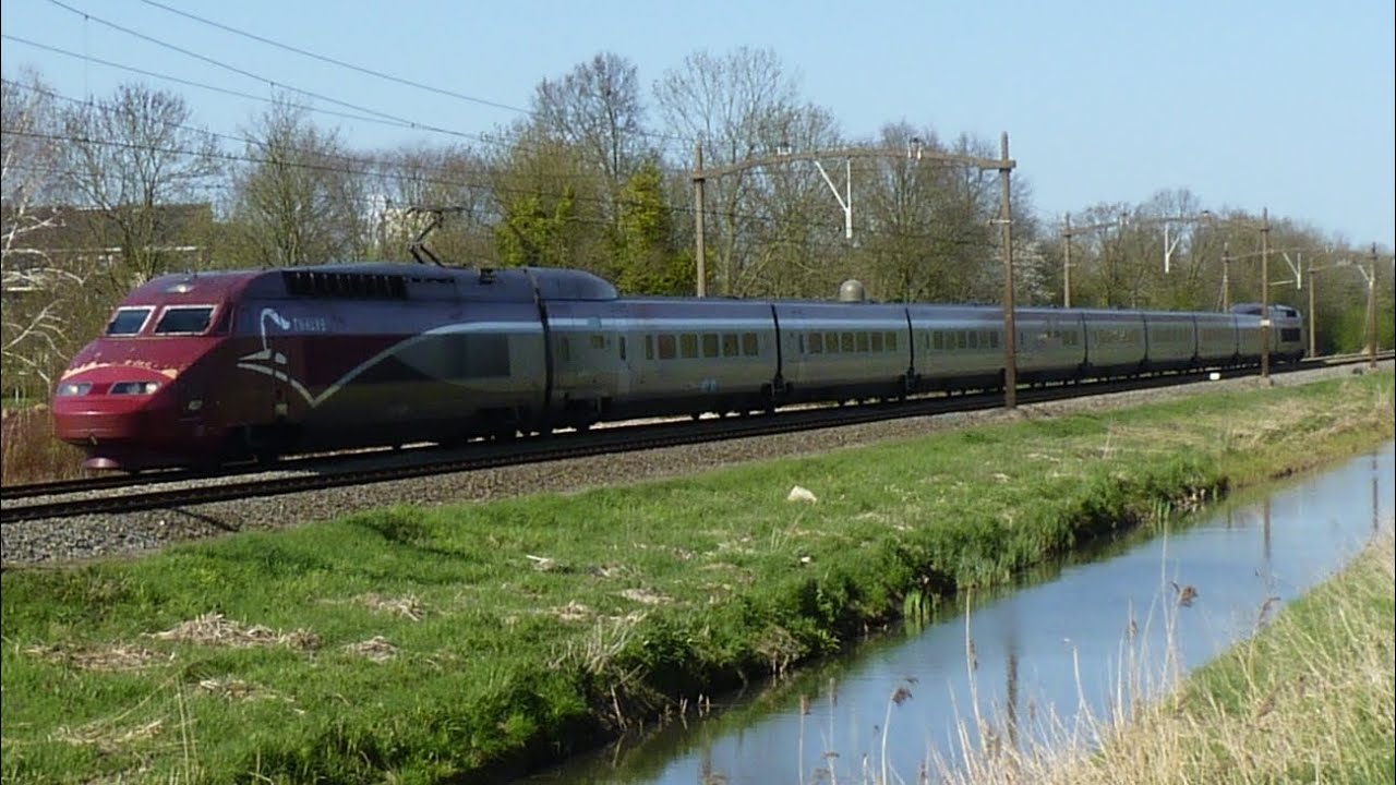 treinen bij station Dordrecht Zuid. 15 april 2015