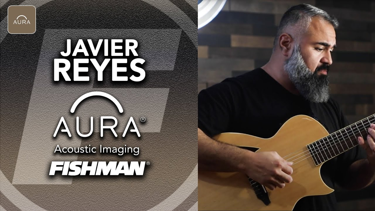Fishman Aura Spectrum DI Artist - Javier Reyes (Animals As Leaders & Mestis) PART 1
