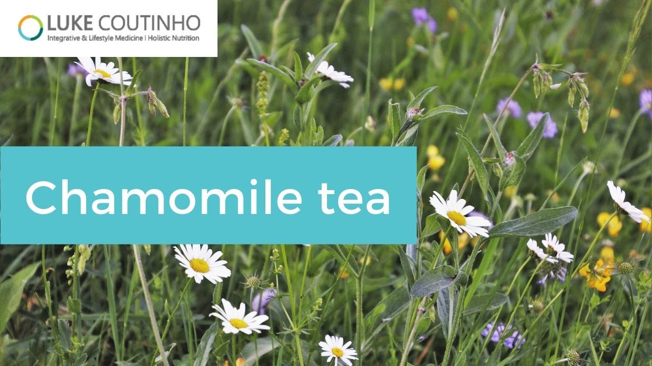 Chamomile Tea | Why you Should Explore this Wonder Flower