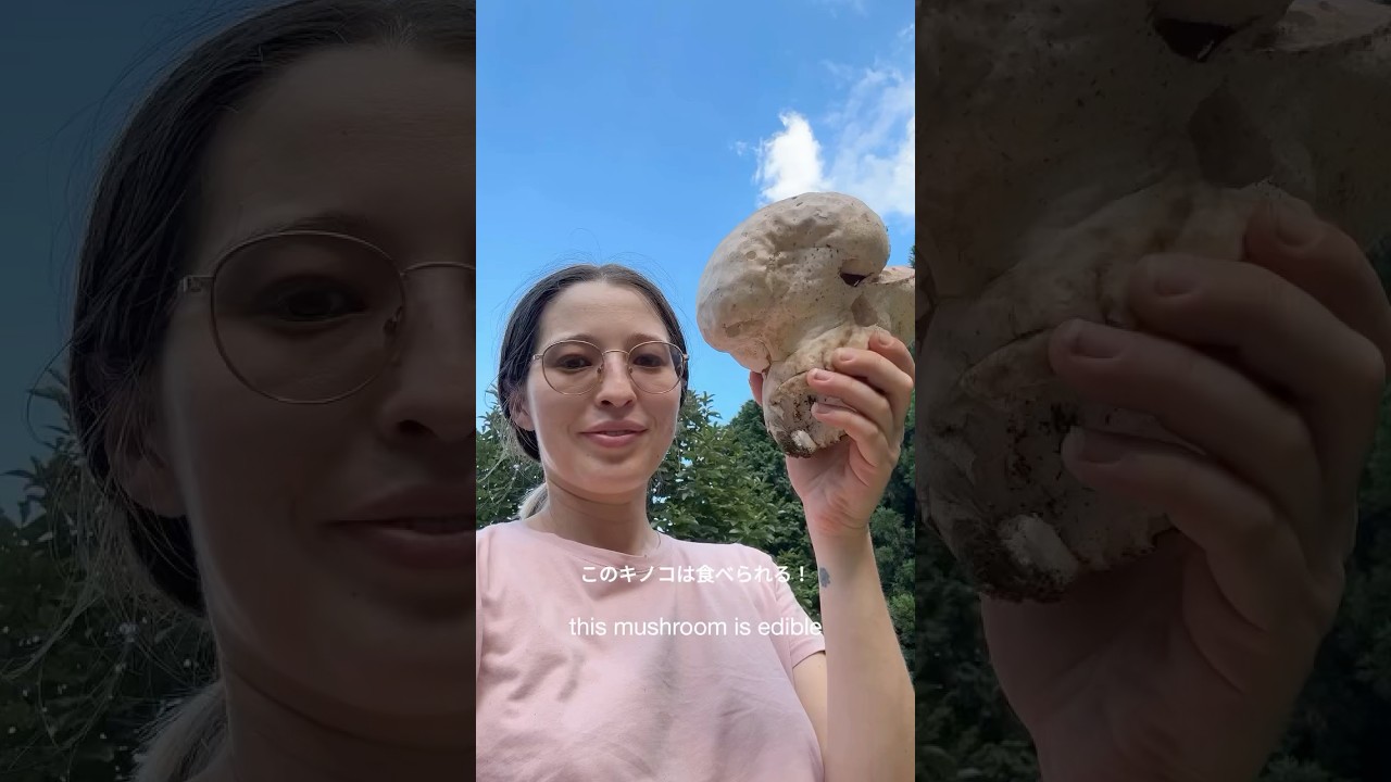 Foraging and Cooking the Brain Puffball Mushroom in Rural Japan