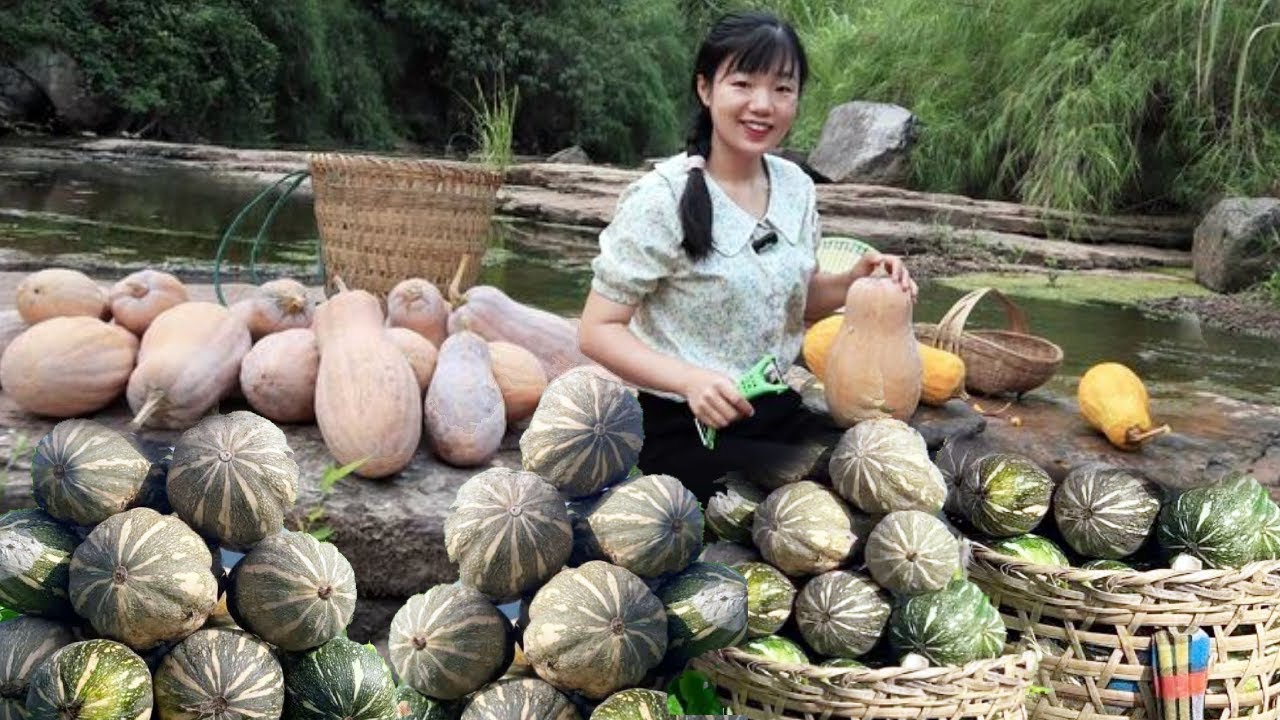 賣家鄉的80萬斤小南瓜，3元一斤物美價廉，帶動一方村民發大財賣光！ 【燕麥行遊】