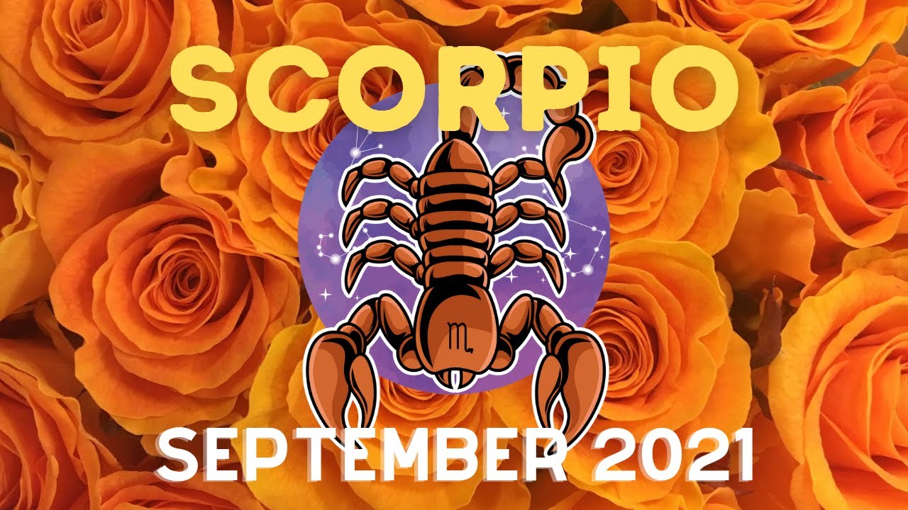 SCORPIO: Irreplaceable✨💔This Person Regrets how they treated U💕 Lets Build a Home Together💍🏘️😣