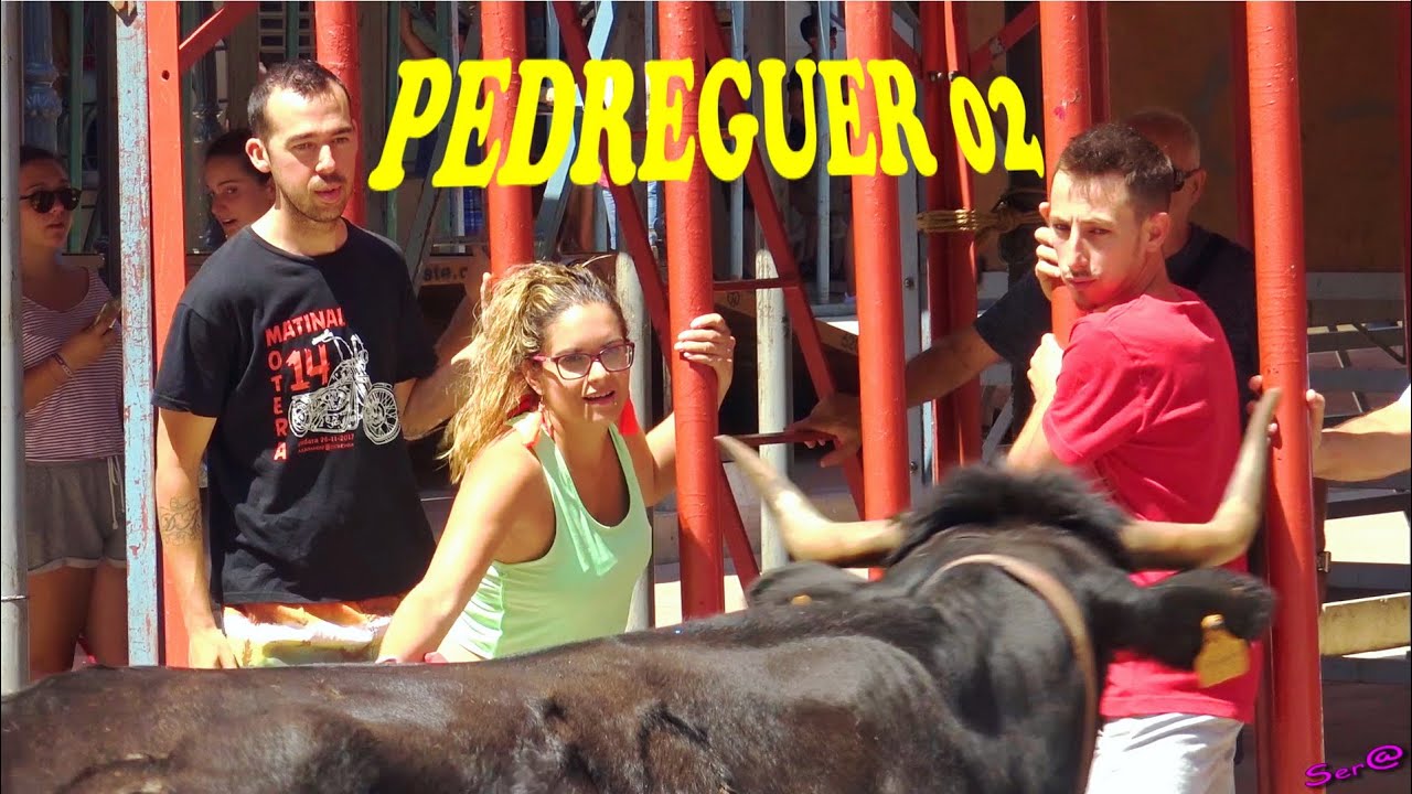 ✅2018 PEDREGUER 02 ◾ Entra y Proba vacas