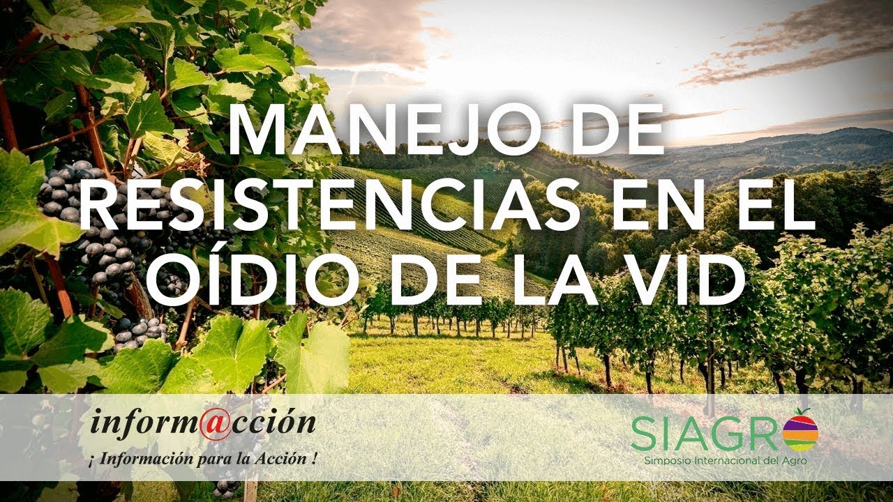 12.1 Manejo de Resistencias en el Oídio de la Vid