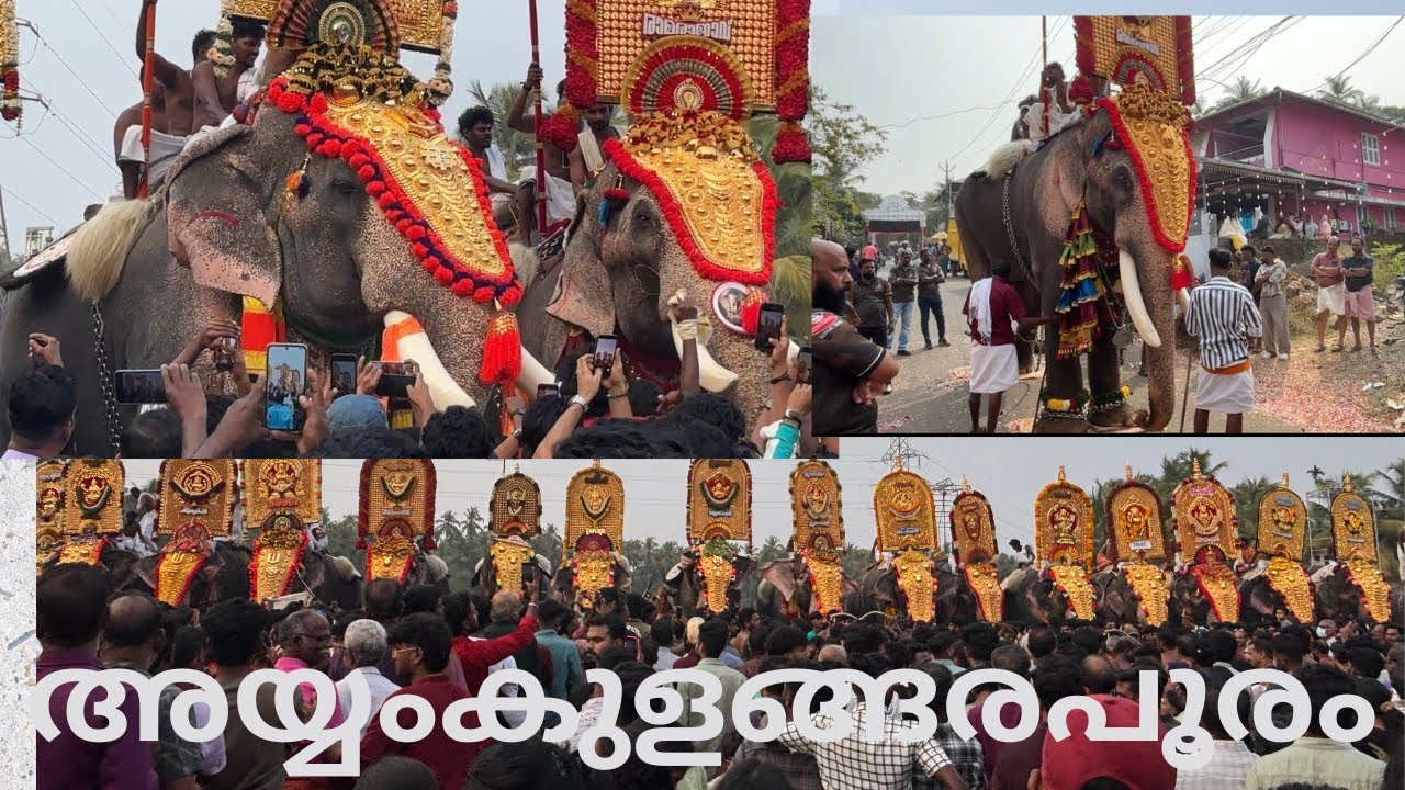 അയ്യംകുളങ്ങര പൂരം 2026/പുതുശ്ശേരി/ayyamkulangara /dudus midea/