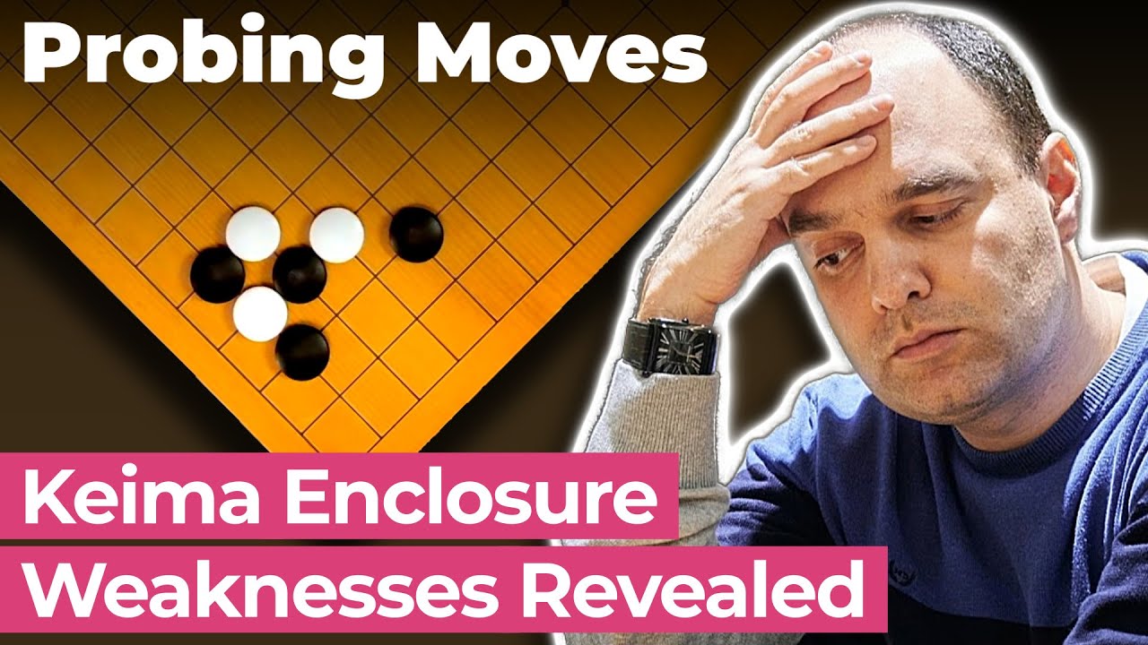 Milk or Meat? Knight's Move Enclosure Probing Moves — Yosu-miru | Alexander Dinerstein 3p