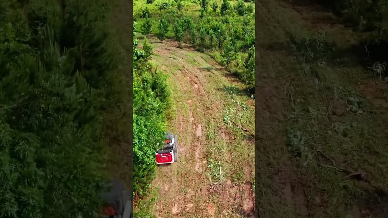 The process of land clearing! #land #grading #bobcat #bobcatequipment #heavyequipment #excavator