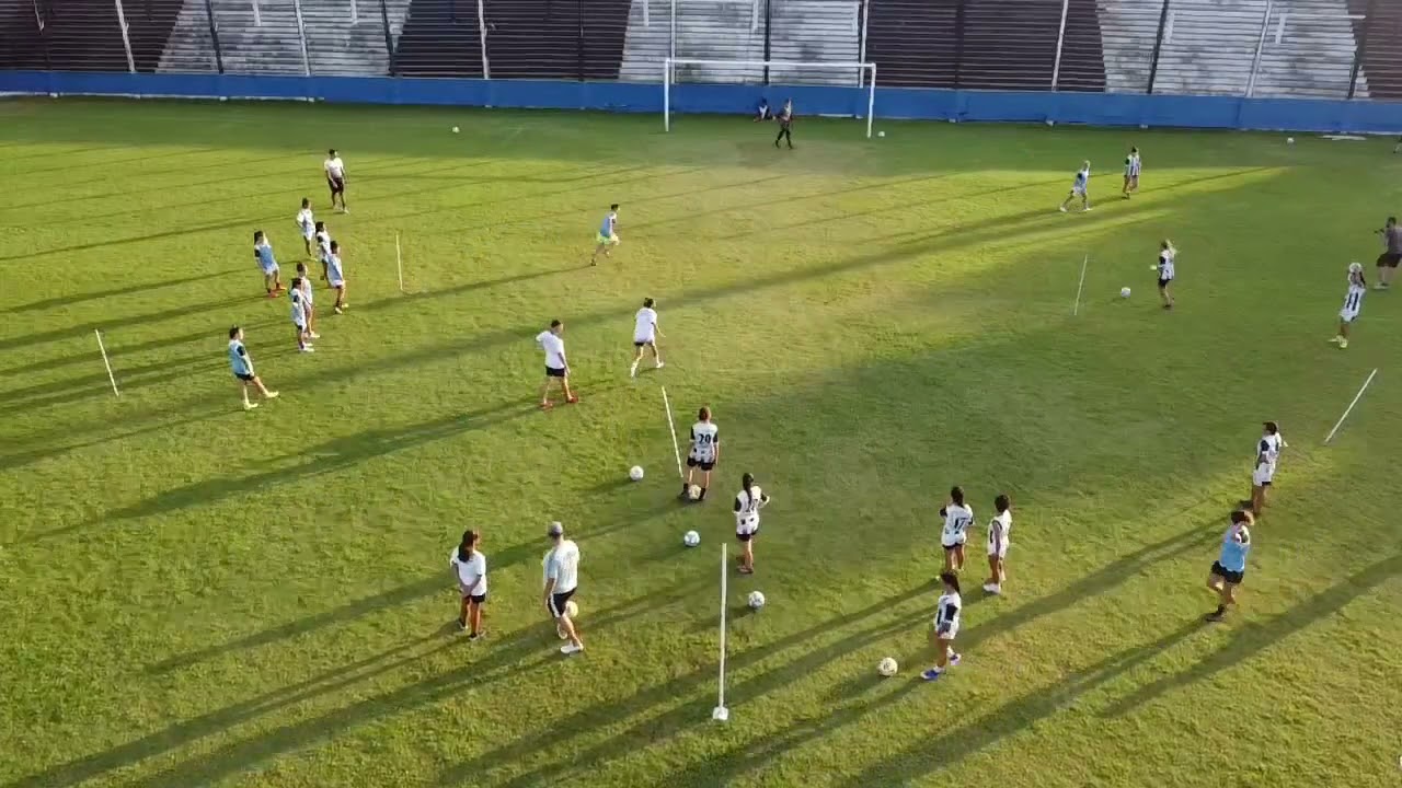 TRANSICIONES: Variantes de Definición
