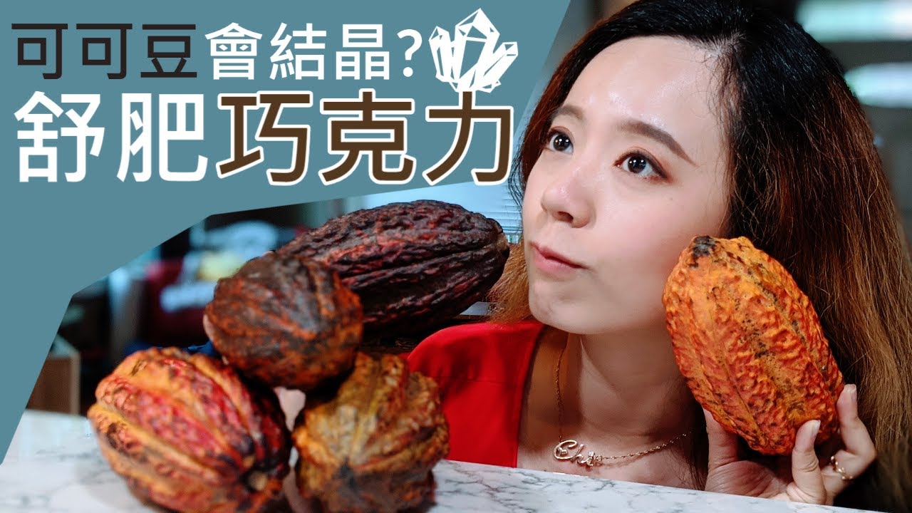 從可可豆做成巧克力手工挑戰!巧克力調溫的科學？