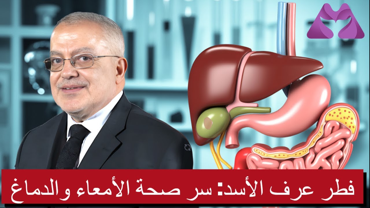 فطر عرف الأسد: سر صحة الأمعاء والدماغ! | الحلقة 4