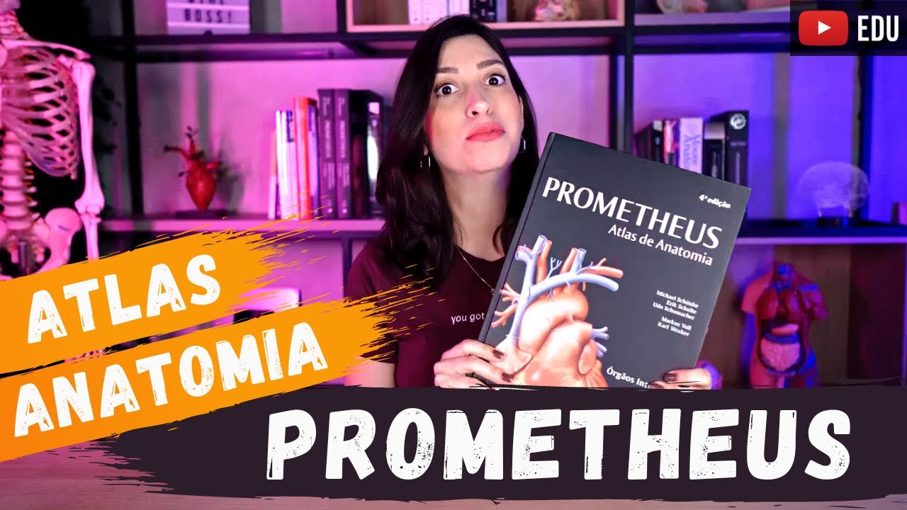 PROMETHEUS Atlas de Anatomia Humana! Review.