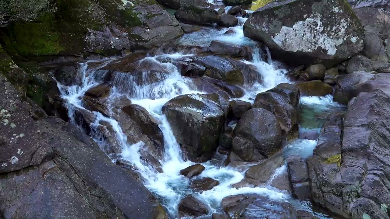 The Sound OF YakusugiLand
