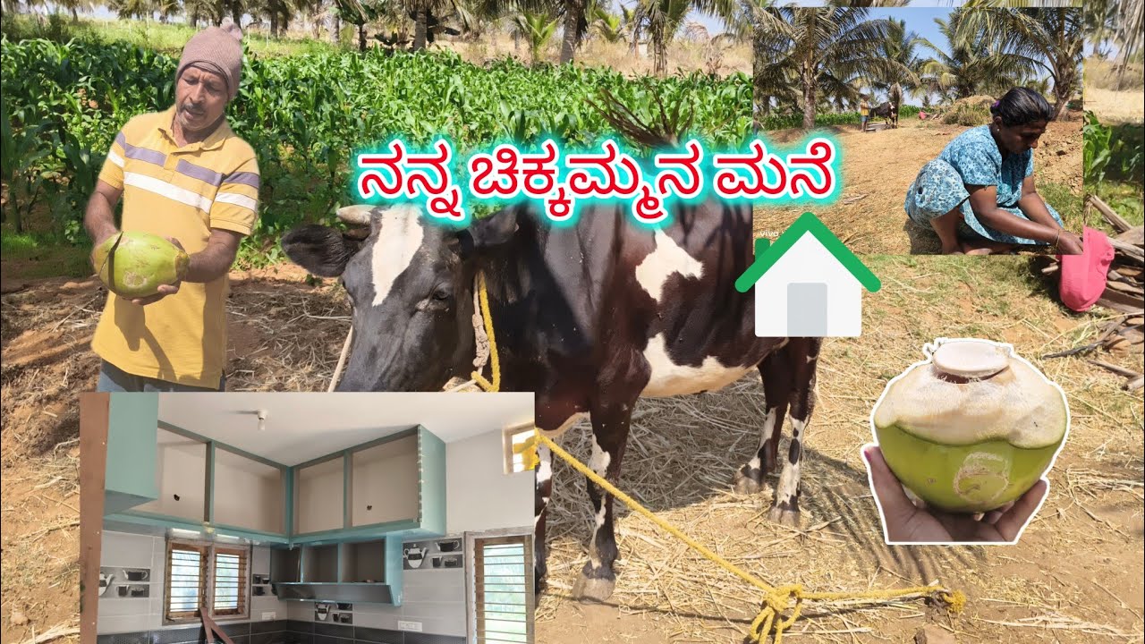 ನನ್ನ ಚಿಕ್ಕಮ್ಮನ ಮನೆ 🏡🏠#dailyvlogs #dailyvlog #kannada #youtuber #ownvoice #youtube #kannadavlogger 