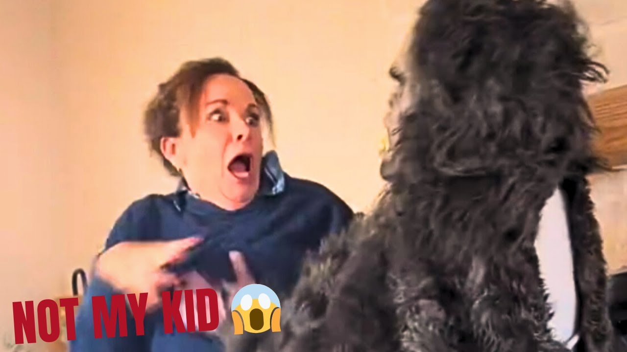 BEST SCARE CAM Priceless Reactions 2026😈😱#016 | Funny Scare Cam 🤣| Jump Scare| Funny Fright Reflex |