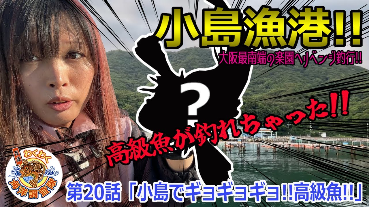 【小島漁港】だんご釣りシーズン到来!!チヌ・グレ狙って…五目釣り!!まさかまさかの高級魚!?第20話「小島でギョギョギョ!!高級魚!!」