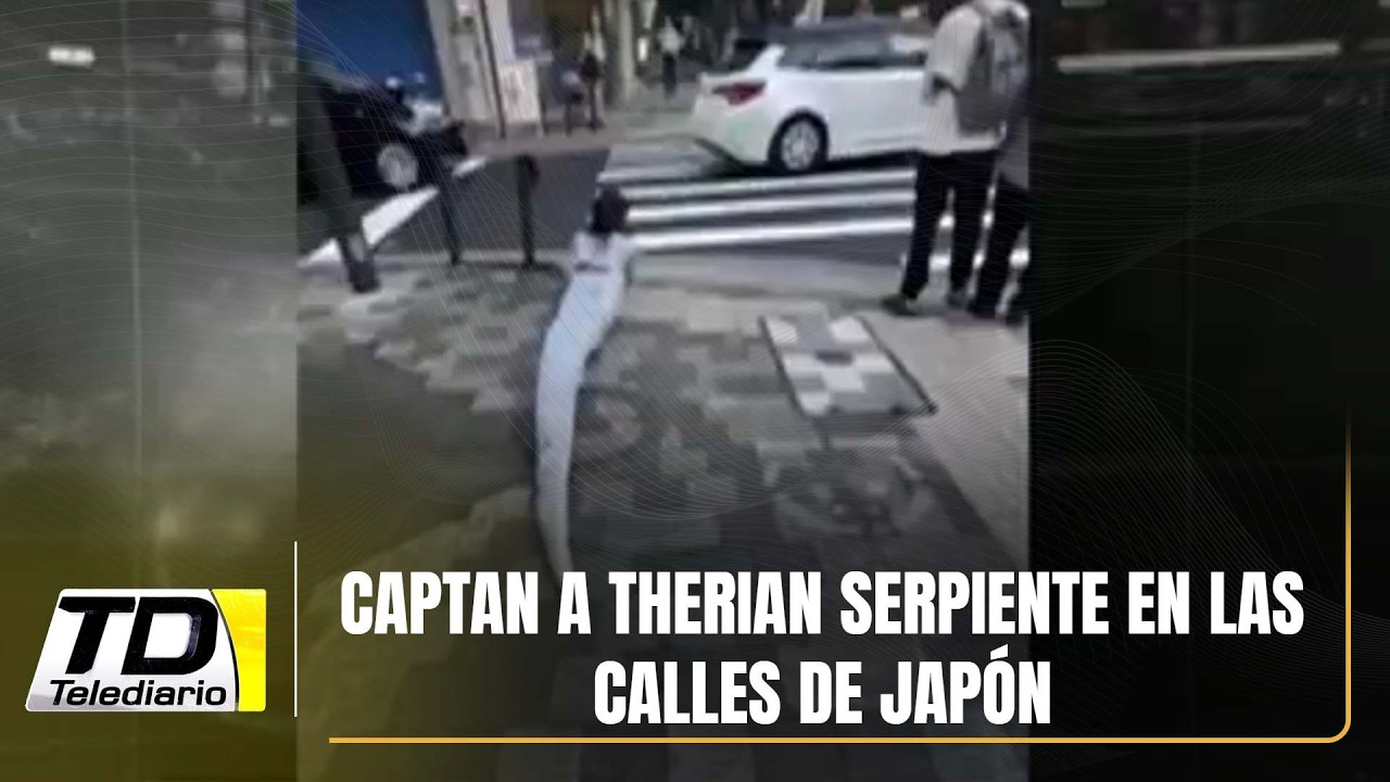 Captan a therian serpiente en las calles de Japón