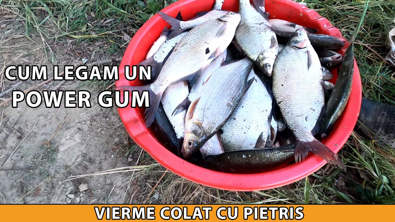 Pescuit la feeder pe Dunare presarat cu ponturi pentru pescuitul la mreana!