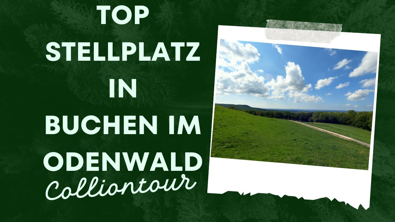 Ein Stellplatz Mitten im Wald. Wohnmobilstellplatz der Stadt Buchen im Odenwald.