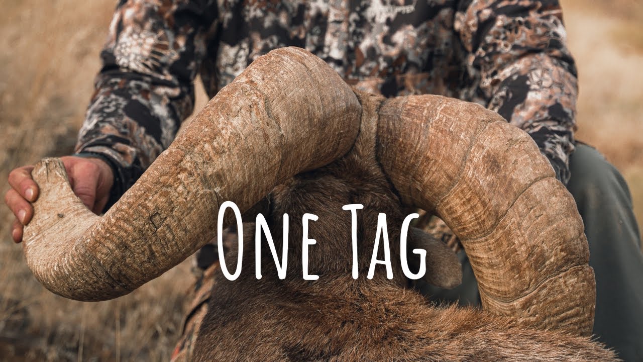 One Tag — Джон Дэй, охота на толсторогих баранов | Сезон 1, Эпизод 6