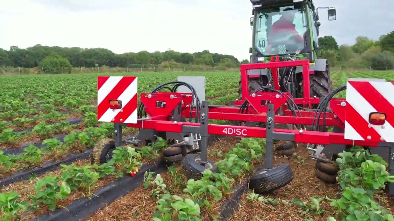 4DISC - RANEX | Rankenschneider für Erdbeerpflanzen im Foliendamm
