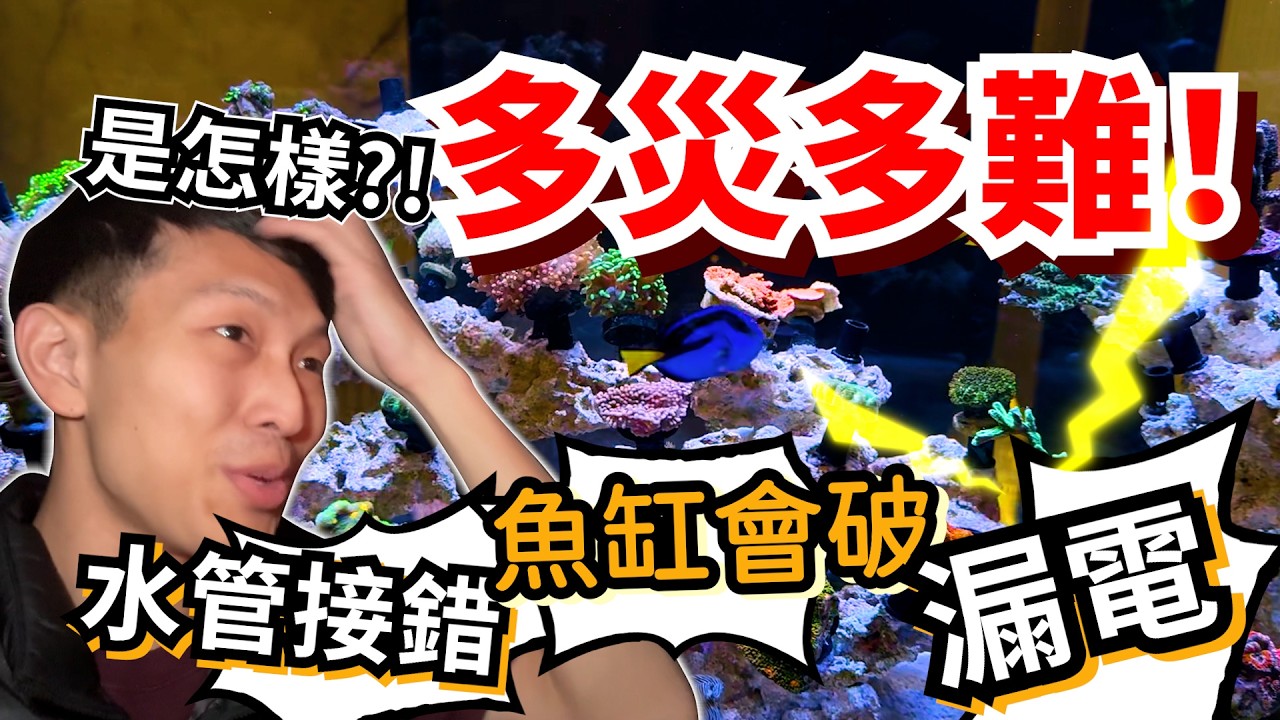 【藍箱水族】多災多難！設缸怎麼可以出這麼多包！