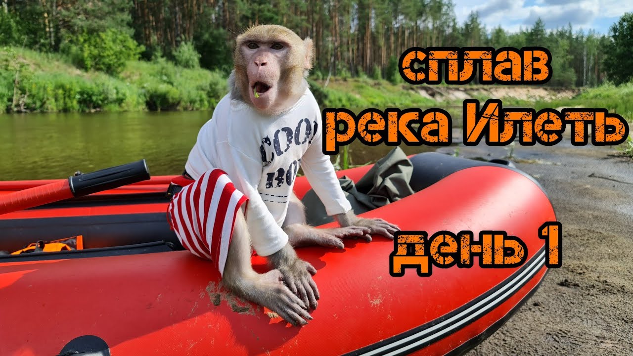 Сплав по реке Илеть с обезьяной. День 1