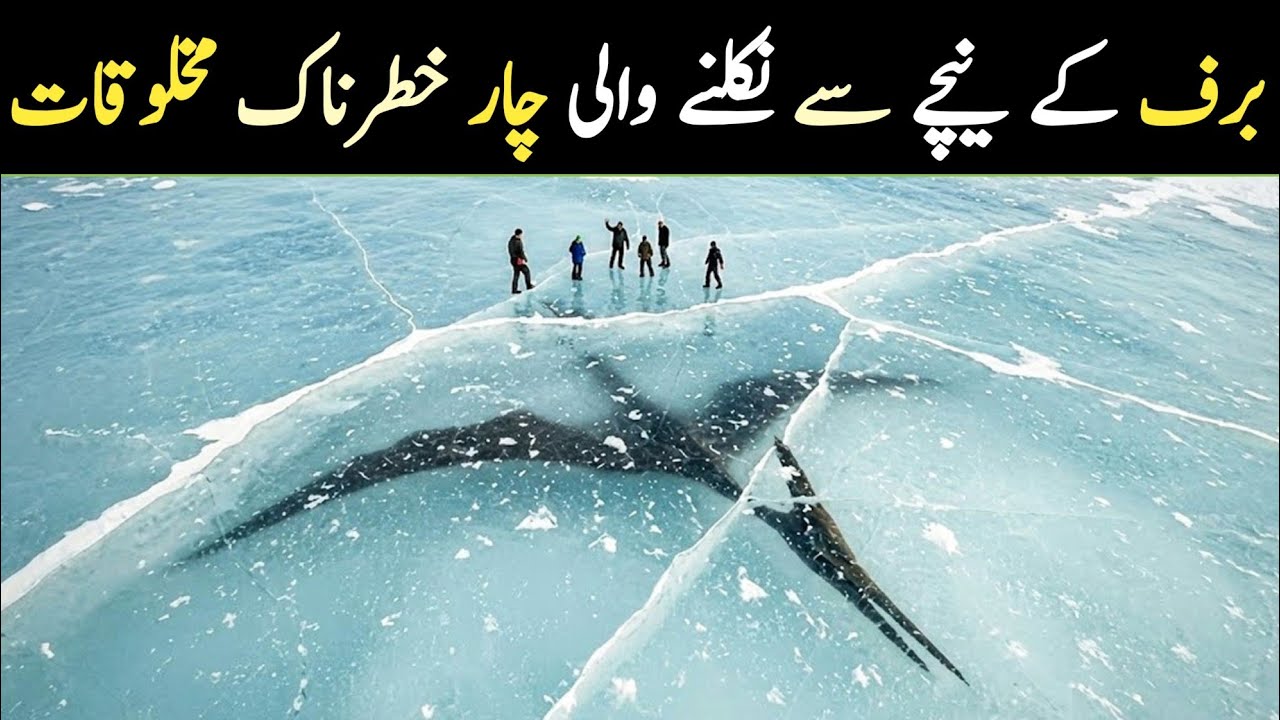 4 Terrifying Discoveries Found Beneath Antarctica’s Ice | World in Urdu