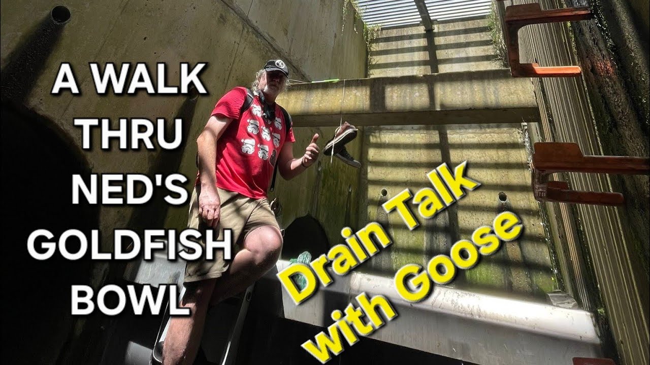 A Walk Thru Ned's Goldfish Bowl. D/talk w/ Goose