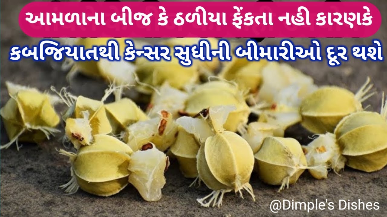 આમળા કરતા 10 ગણો ફાયદો તેના બીજ કરે છે Benefit of Amla seeds constipation Acidity hair fall solution