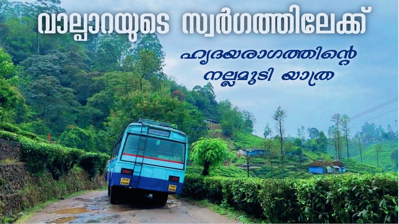 Valparai Nallamudi View Point വാല്പാറയുടെ സ്വർഗത്തിലേക്ക്