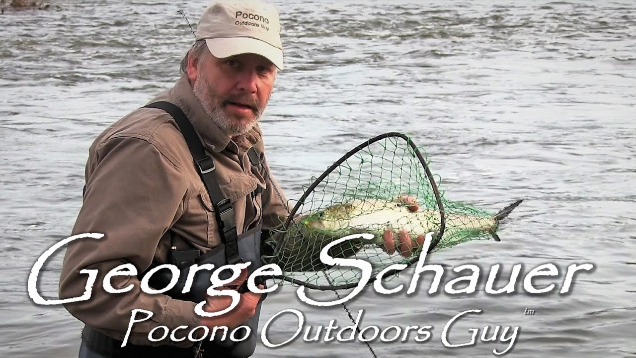 Fishing the Shad run on the Delaware River - Great mornings work!