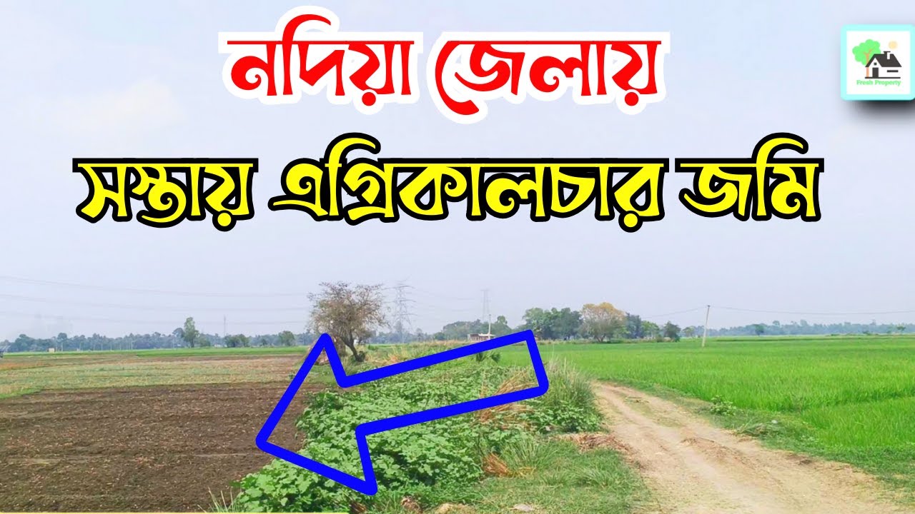 Fp - 833 | সস্তায় এগ্রিকালচার জমি নদীয়াতে | Fresh Property | Call - 9073 145 145