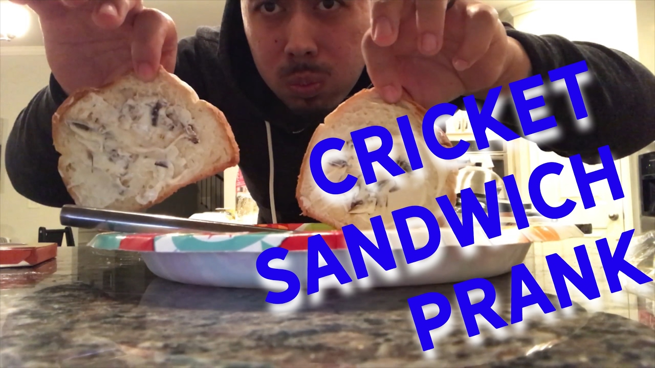 CRICKETS IN HER SANDWICH PRANK!