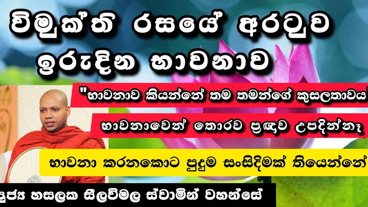 ඉරුදින භාවනාව -43 |සමාධි සම්භාෂණා-16| අනිවාර්යයෙන්ම ශ්‍රවණය කරන්|පුදුම සංසිදිමක් ඇතිවෙයි |2026.02.15