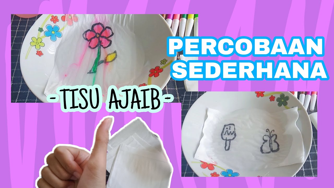 PERCOBAAN SEDERHANA TISU AJAIB-Sains Untuk anak
