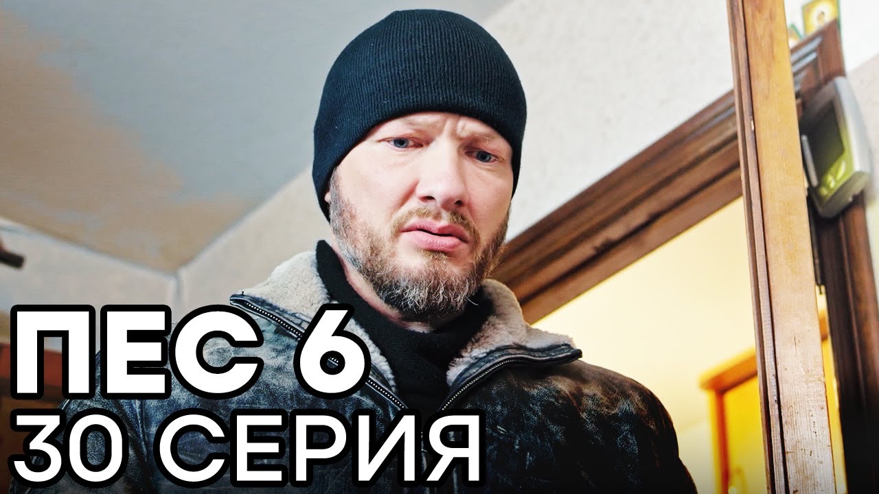 Сериал ПЕС 6 - 6 сезон - 30 серия - ВСЕ СЕРИИ смотреть онлайн | СЕРИАЛЫ ICTV
