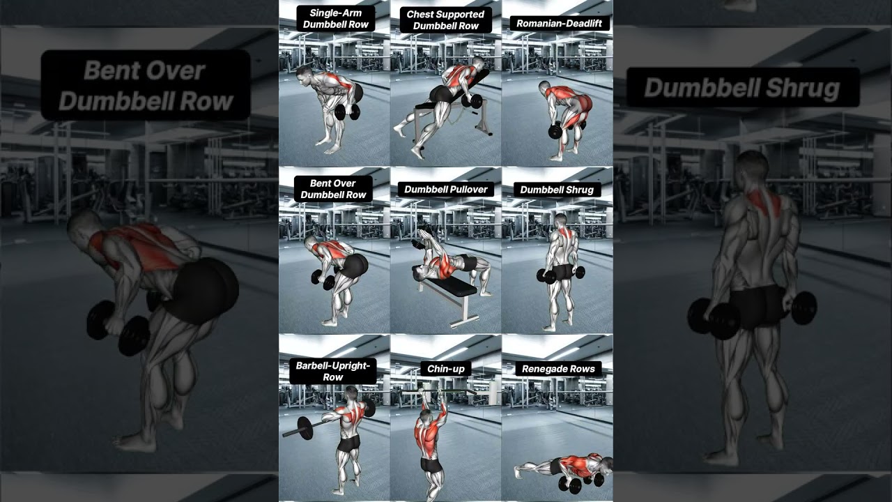 Ultimate Back Exercise Library: Top Moves for a Stronger Back!