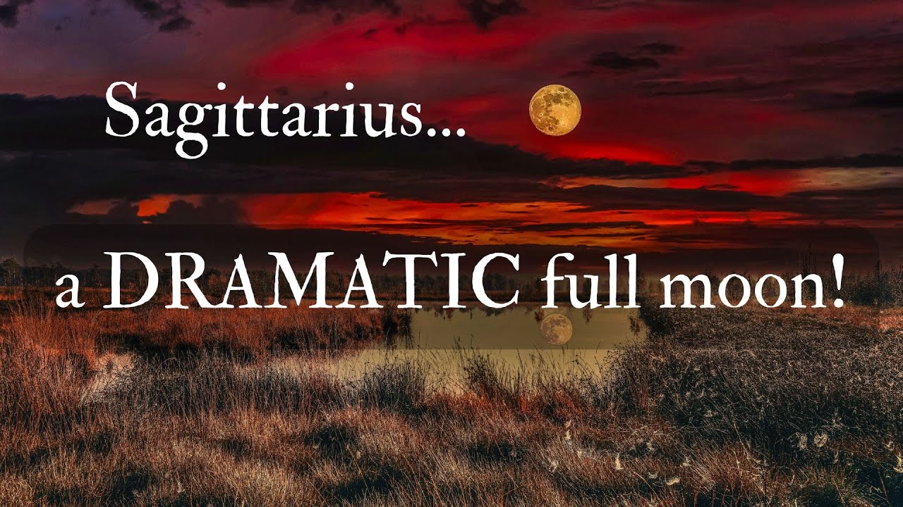 🏹#sagittarius | you're about to unleash the 🐉 jan 1-5 | great winds of change | chill tarot