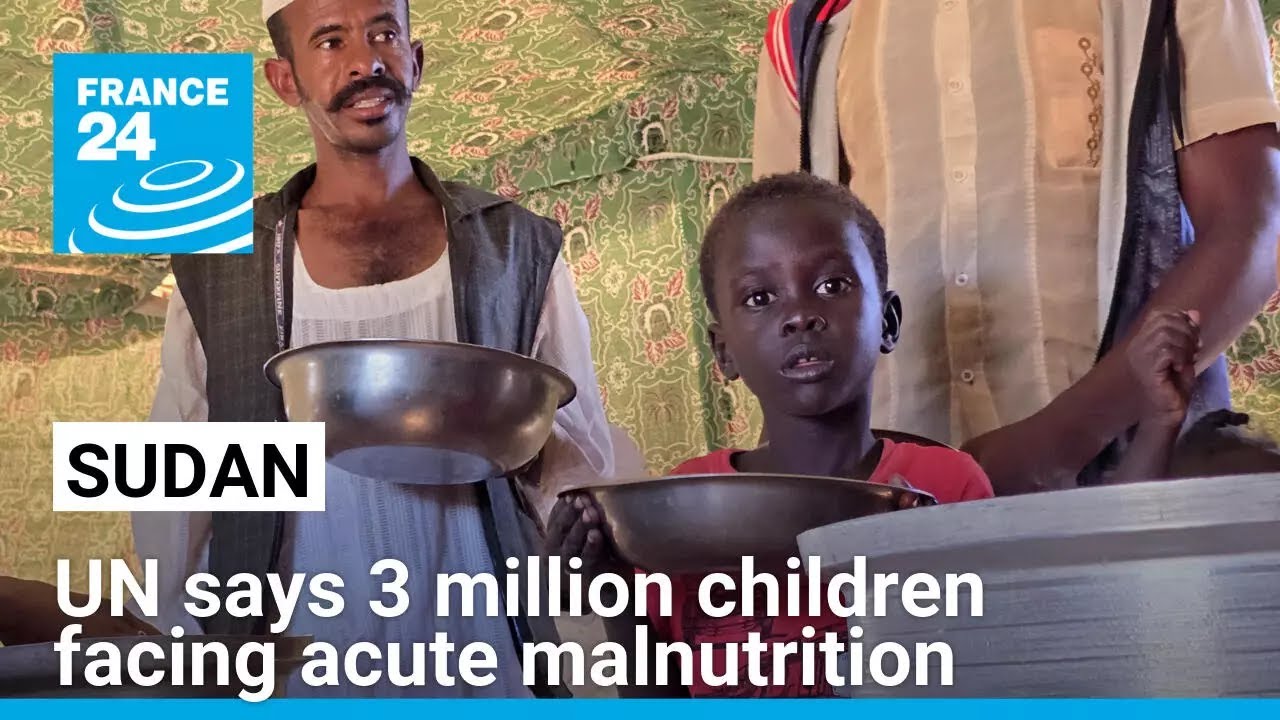 UN says 3 million Sudan children facing acute malnutrition &bull; FRANCE 24 English