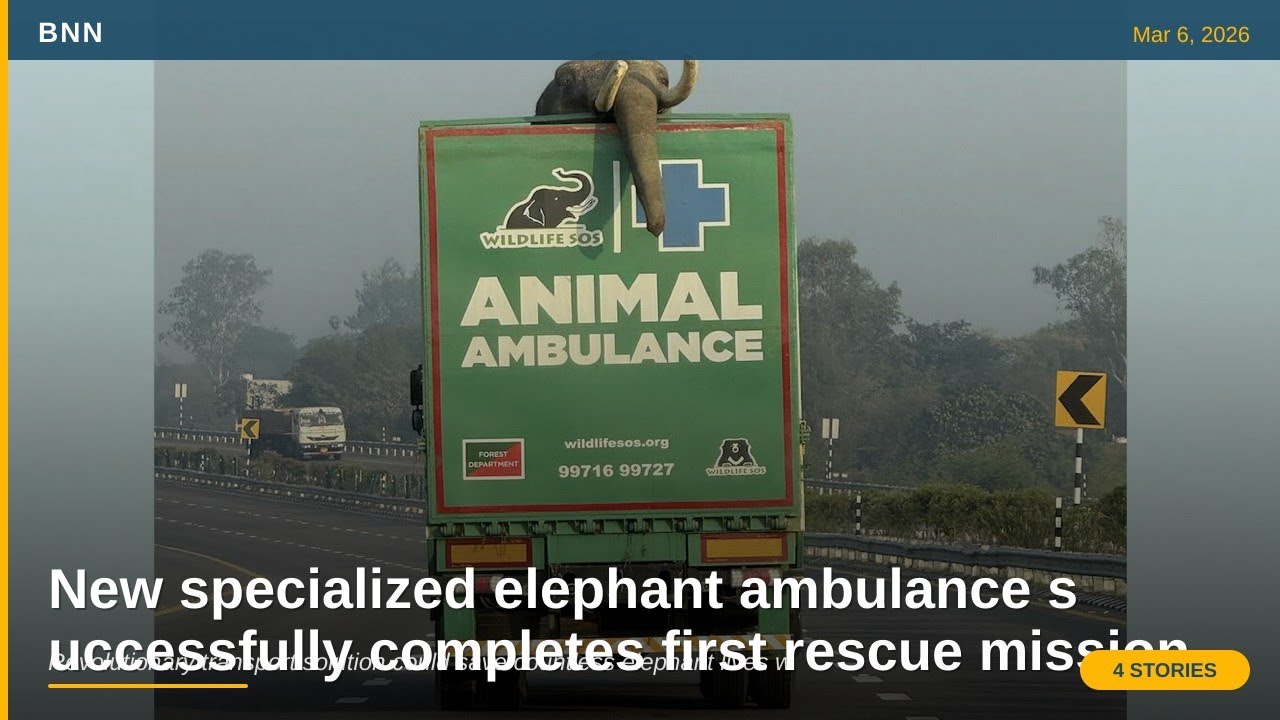 Elephant Ambulance Saves Lives + NFL Goes Net-Zero | Mar 6