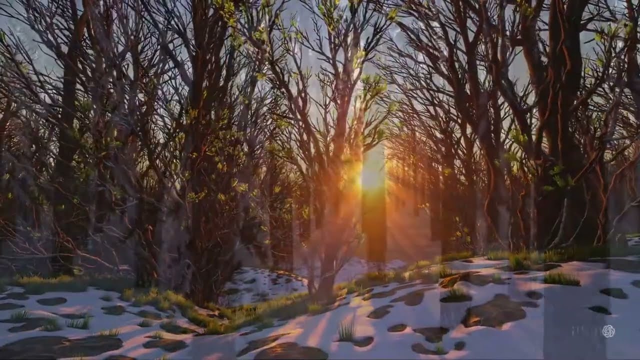 Walking Toward the Sun (Peaceful Nature Ambience, 10 Hours)
