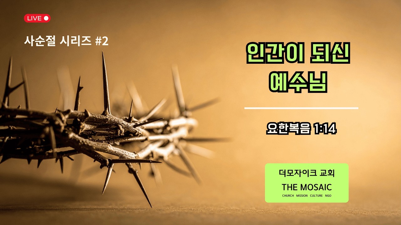 더 모자이크 교회 수요 기도회 (260225) / 인간이 되신 예수님 / 요한복음 1:14