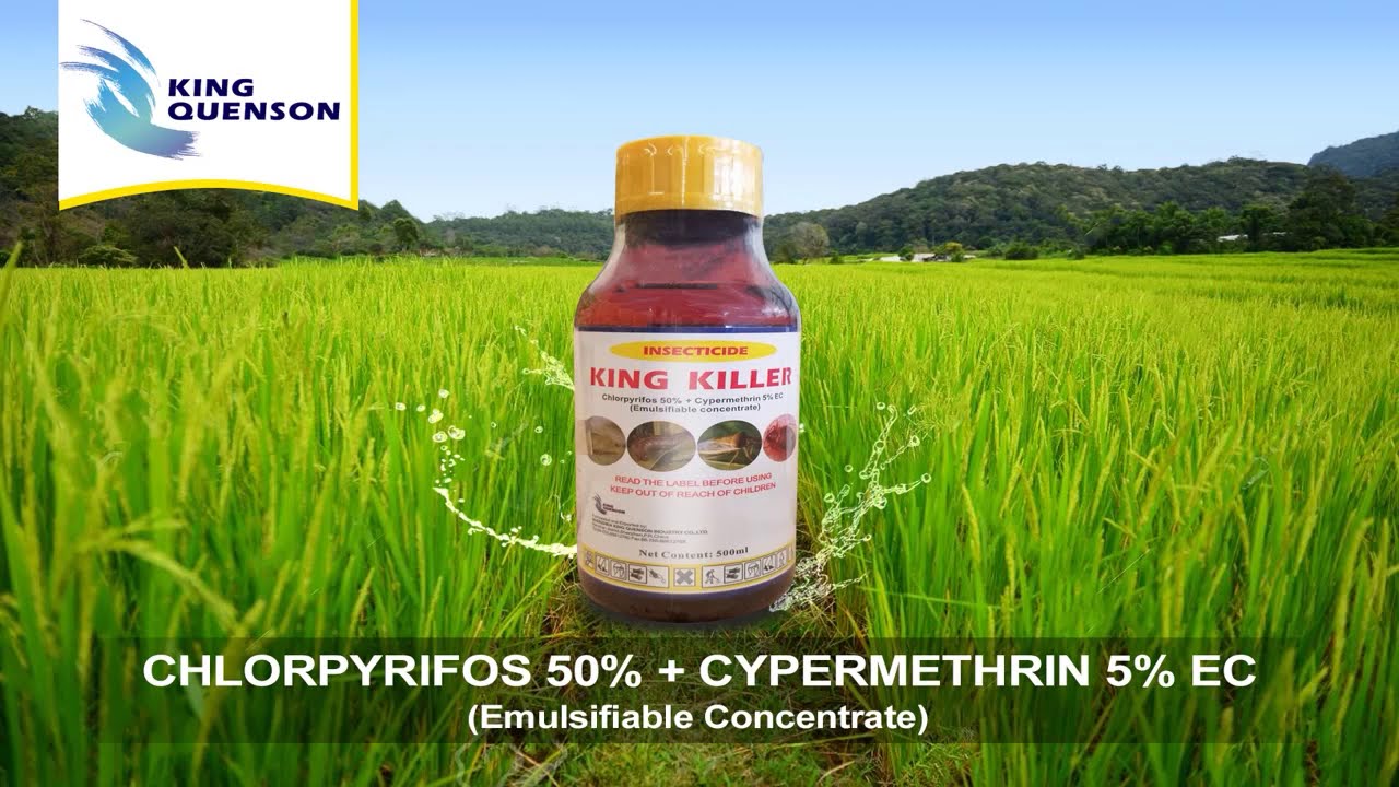 Chlorpyrifos 50% + Cypermethrin 5%EC
