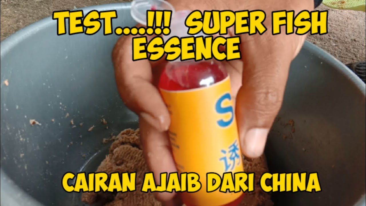 TEST CAIRAN AJAIB UNTUK MANCING IKAN DARI CHINA / SUPER FISH ESSENCE