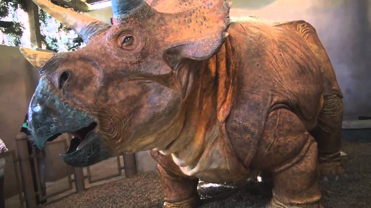Triceratops Discovery Trail at Jurassic Park in Universal Islands of Adventure