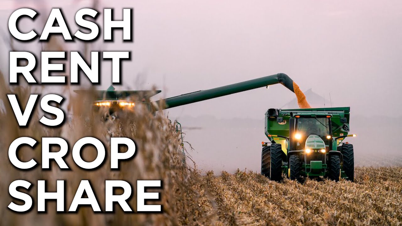 Cash Rent VS Crop Share For Income Producing Acreage | Knowing The Difference