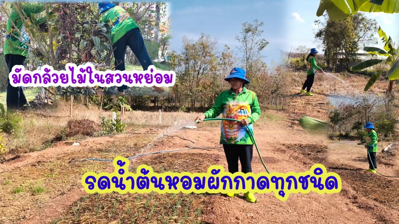 แดดแรงน้ำก็แรงได้เวลารดน้ำสวนดาด้า